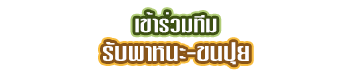 เข้าร่วมทีม รับพาหนะ-ขนปุย