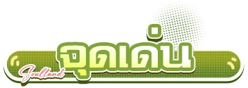 คุณสมบัติเกม
