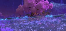 Flower Sea