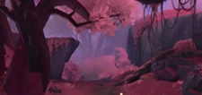 Xing Dou Forest